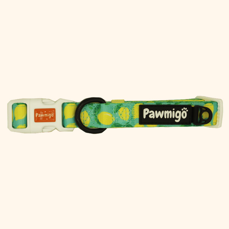 Worth The Squeeze Dog Collar