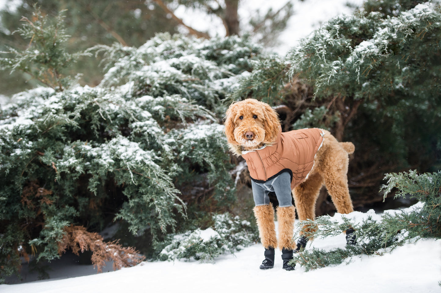 Elasto-Fit Urban Parka in Caramel