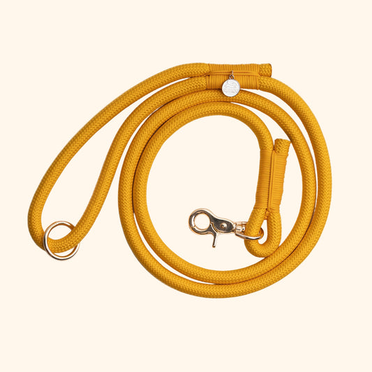 Braided Rope Leash - Yellow