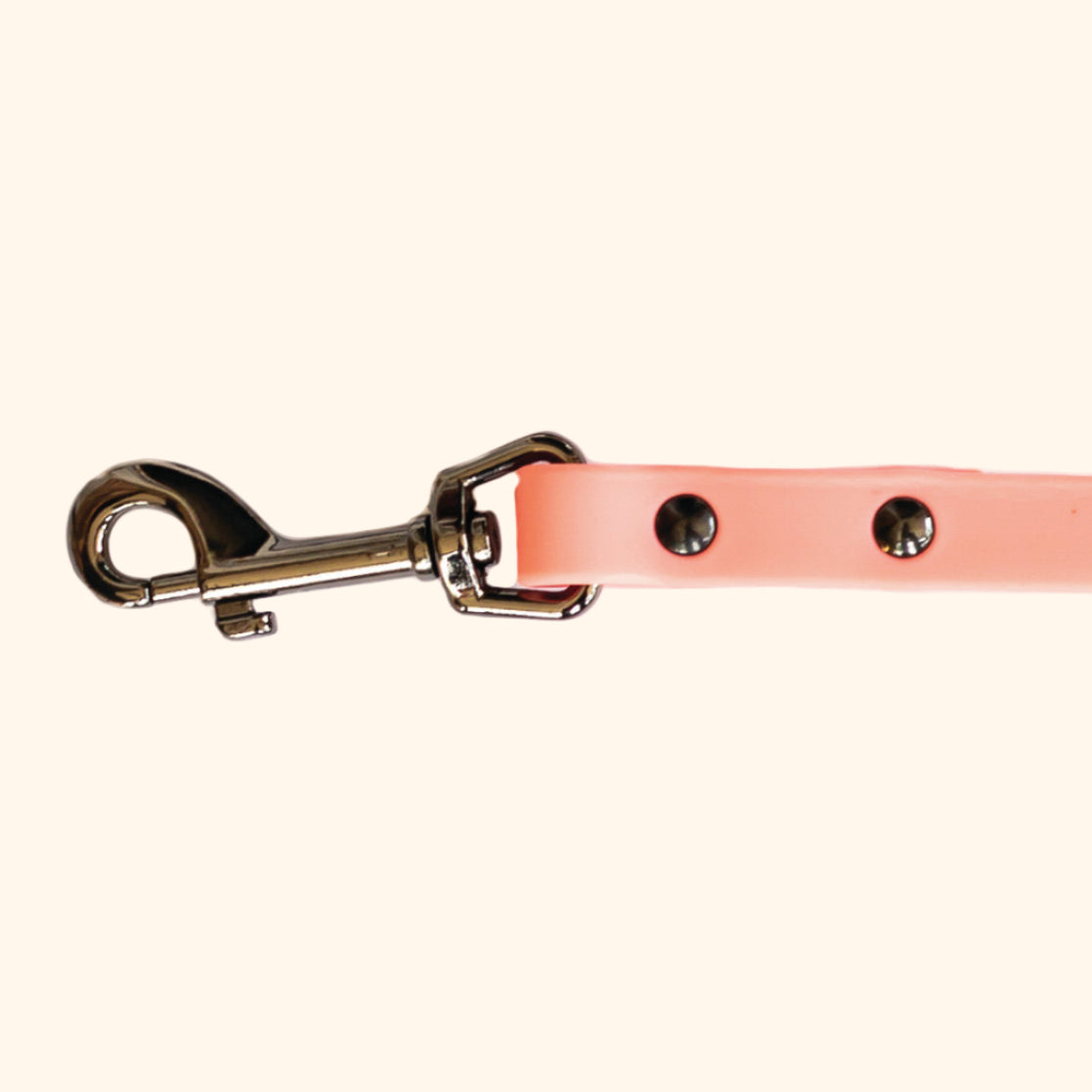 Waterproof Coral Reef Dog Leash