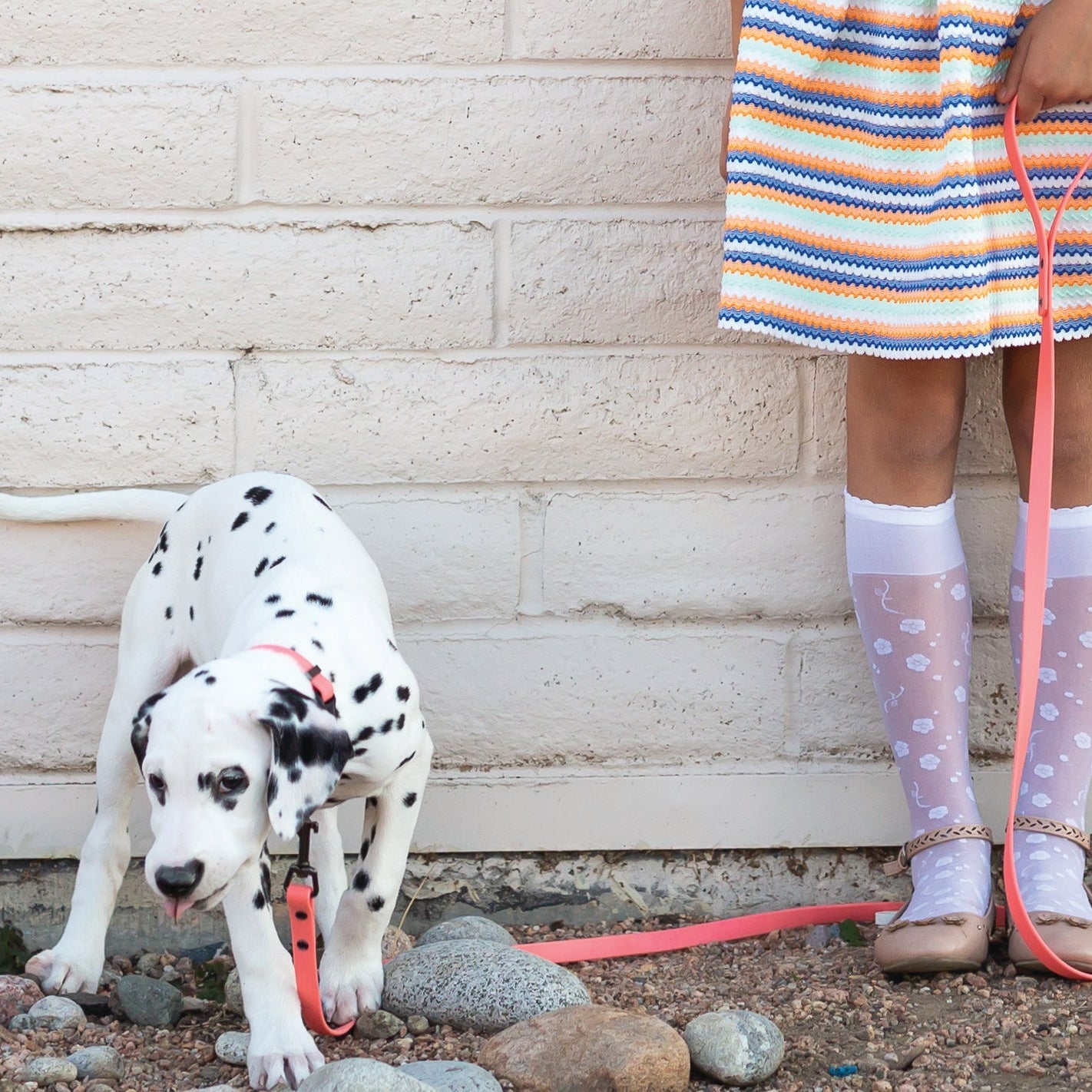 Waterproof Coral Reef Dog Leash