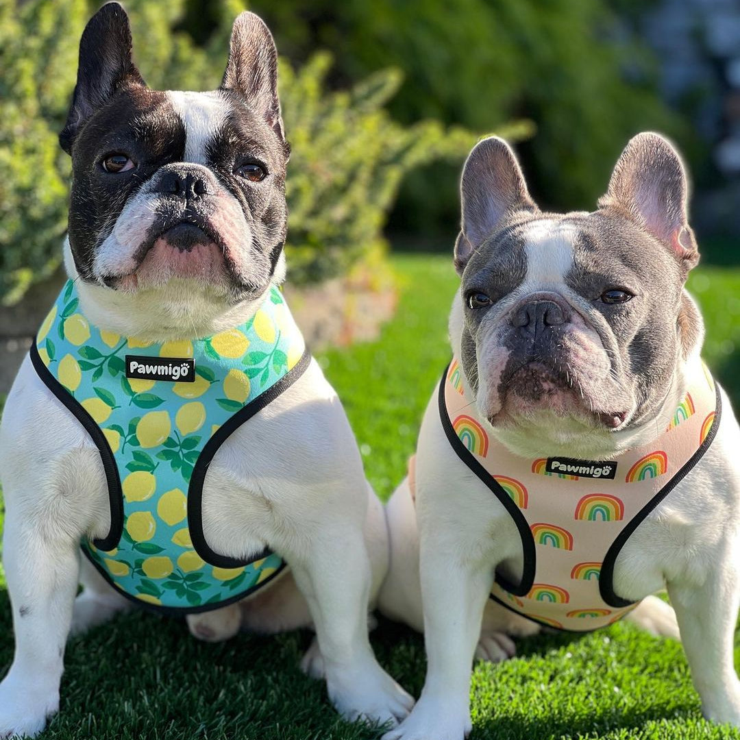 Worth The Squeeze Reversible Harness