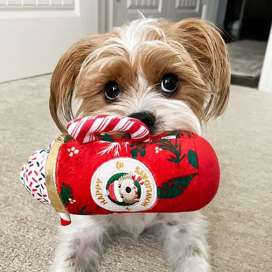 Small dog holding a red plush toy with a candy cane in its mouth on a carpeted floor.