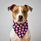 Candy Heart Valentines Day Dog Bandana