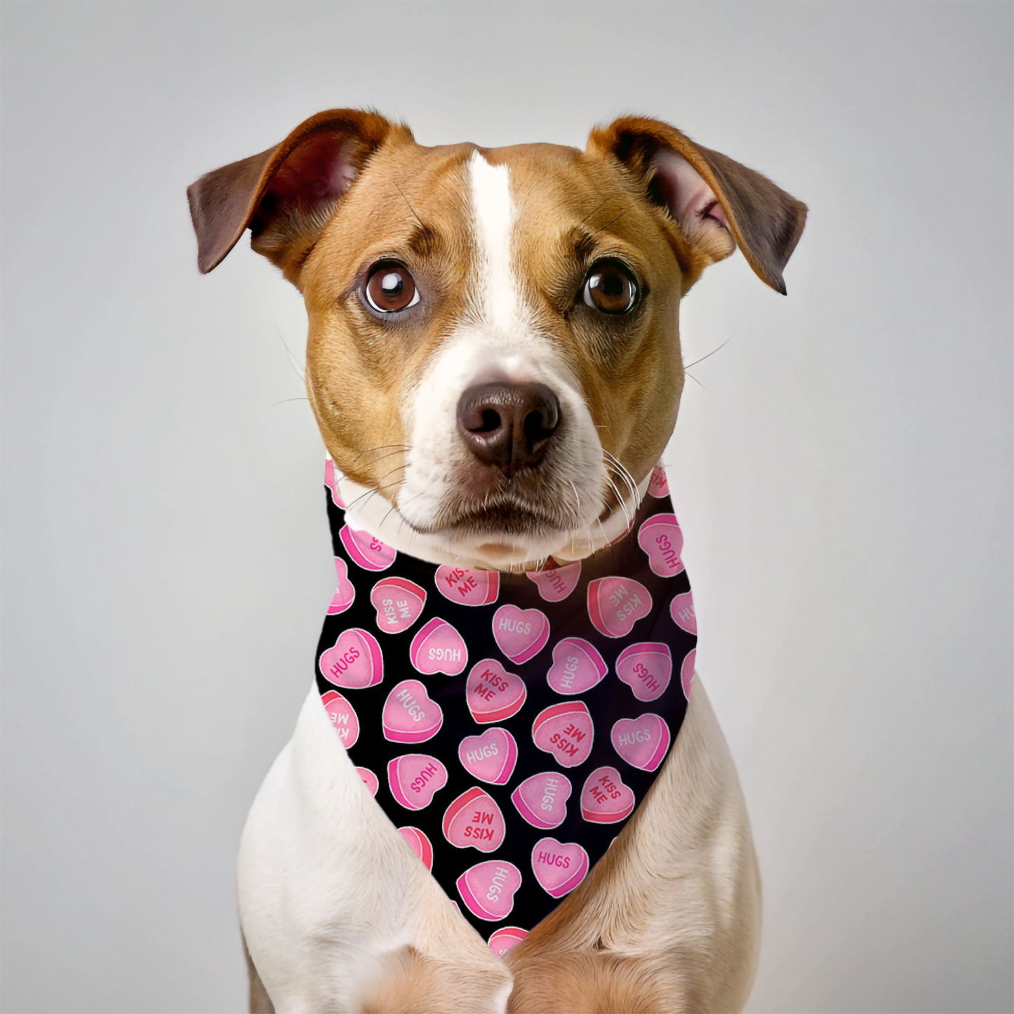 Candy Heart Valentines Day Dog Bandana