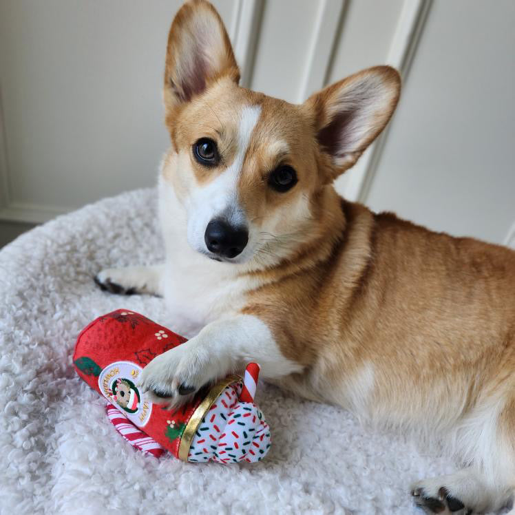 Howliday Cheer Mug Dog Toy