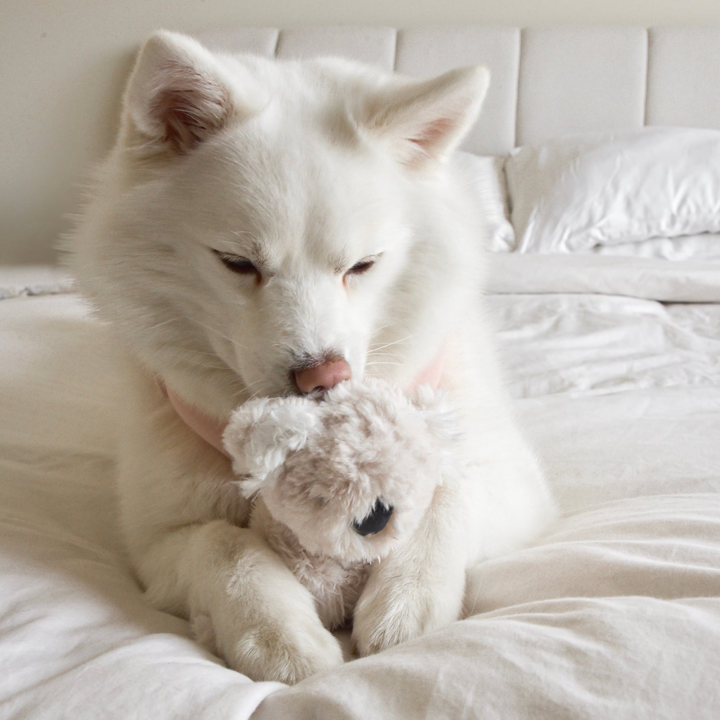Fur Elise Koko Plush Toy - Mini