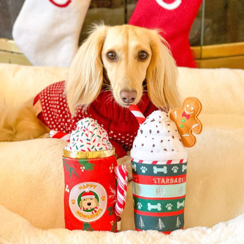 Dog wearing a red sweater with Christmas-themed cups and gingerbread man toy on a couch.