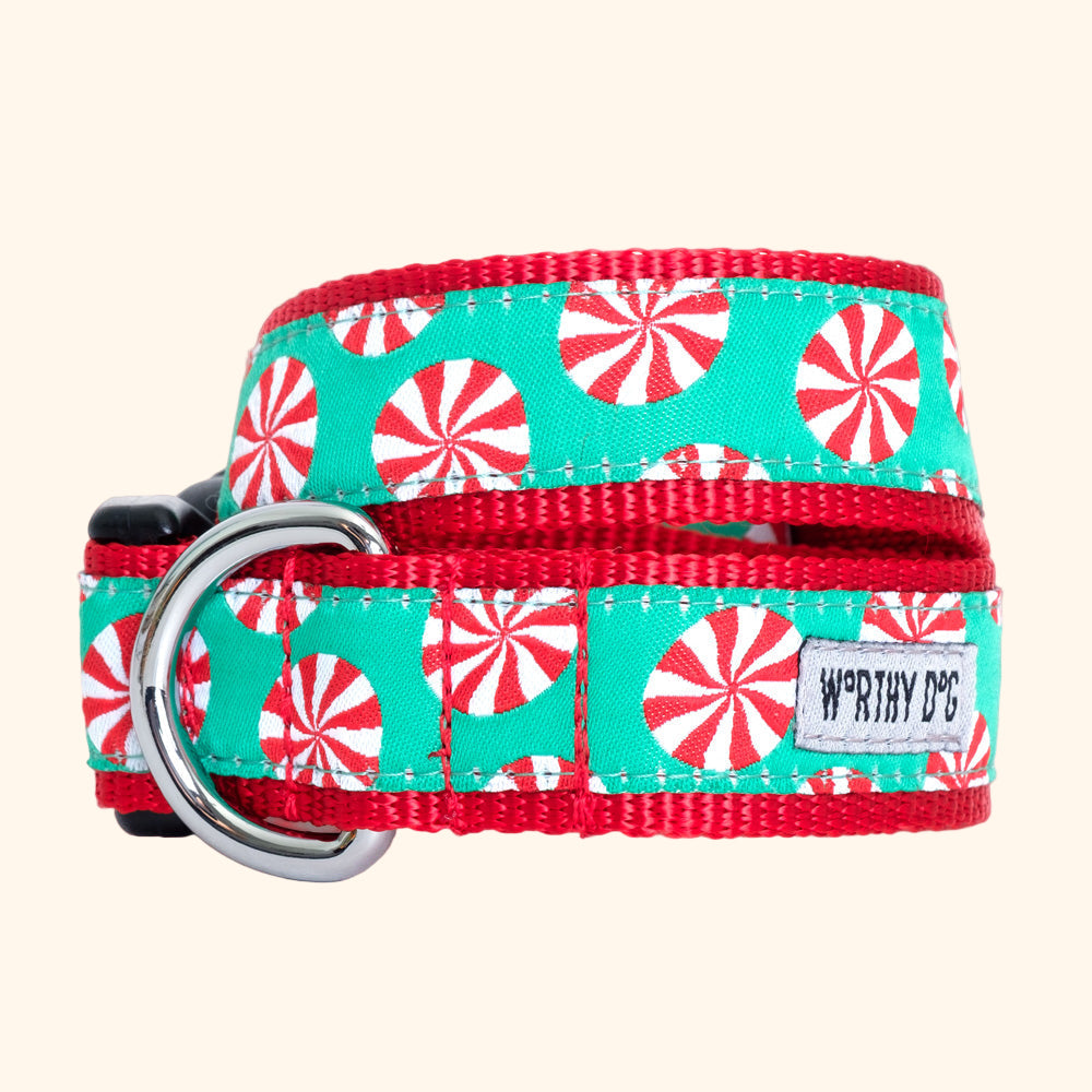 Dog collar with peppermint pattern
