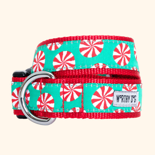 Dog collar with peppermint pattern