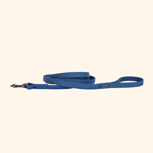 Waterproof Blue Jeans Super Dog Leash