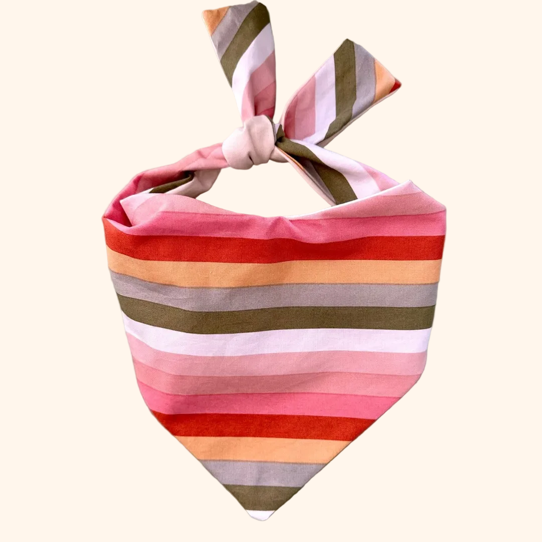 Boho Stripes Dog Bandana