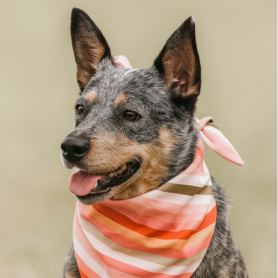 Boho Stripes Dog Bandana