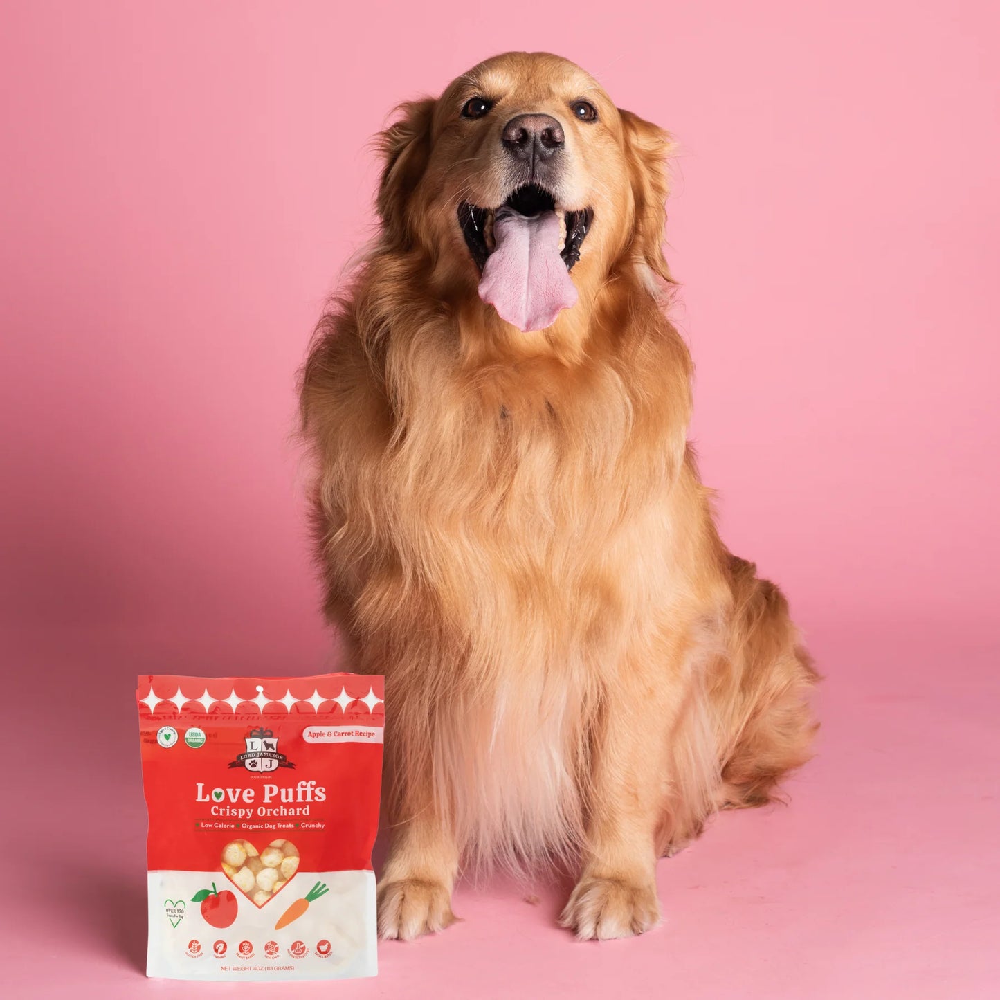 Crispy Orchard Dog Treats