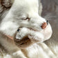Fur Elise Pegy Plush Toy - Mini