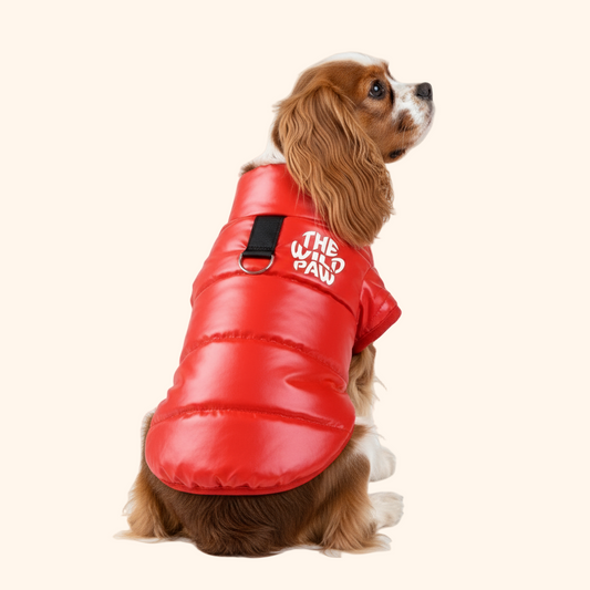 Red Expedition Pro Jacket