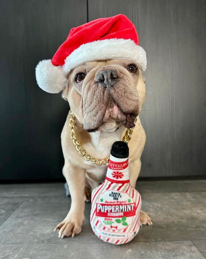 Dog wearing a Santa hat with a bottle of peppermint schnapps.