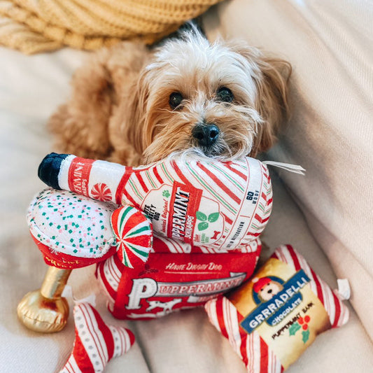 Dog playing with a candy-themed toy on a couch
