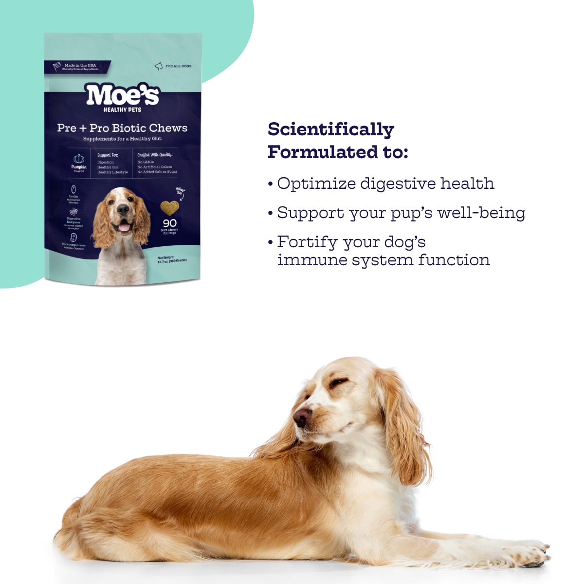 Pre + Pro Biotic Dog Chews