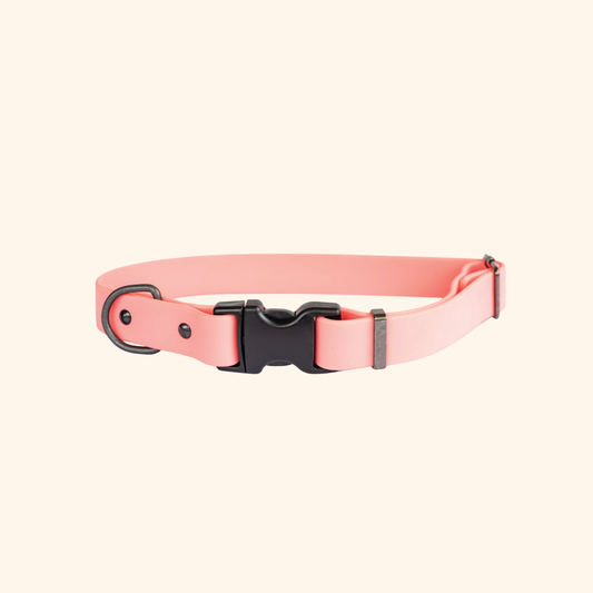 Waterproof Coral Reef Dog Collar