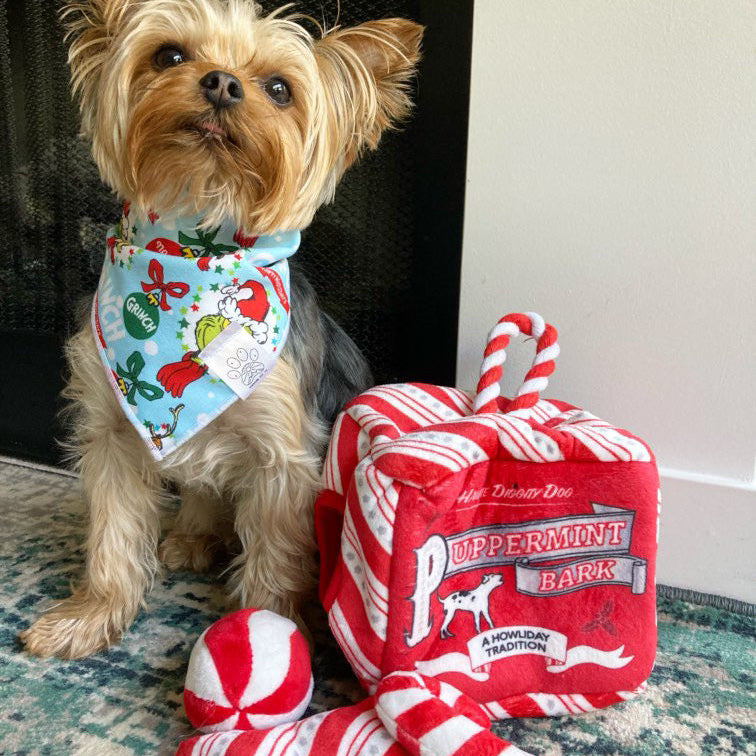 Small dog wearing a bandana with candy cane-themed products on a patterned rug.