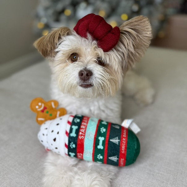 Small dog wearing a festive sweater and red bow, sitting on a couch.