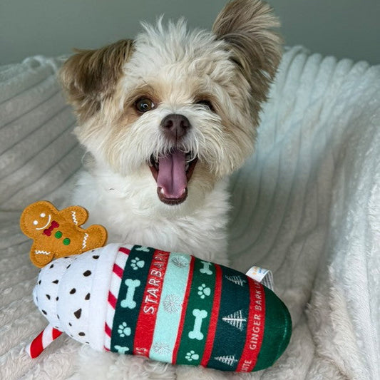 Small dog with a colorful dog toy on a soft surface