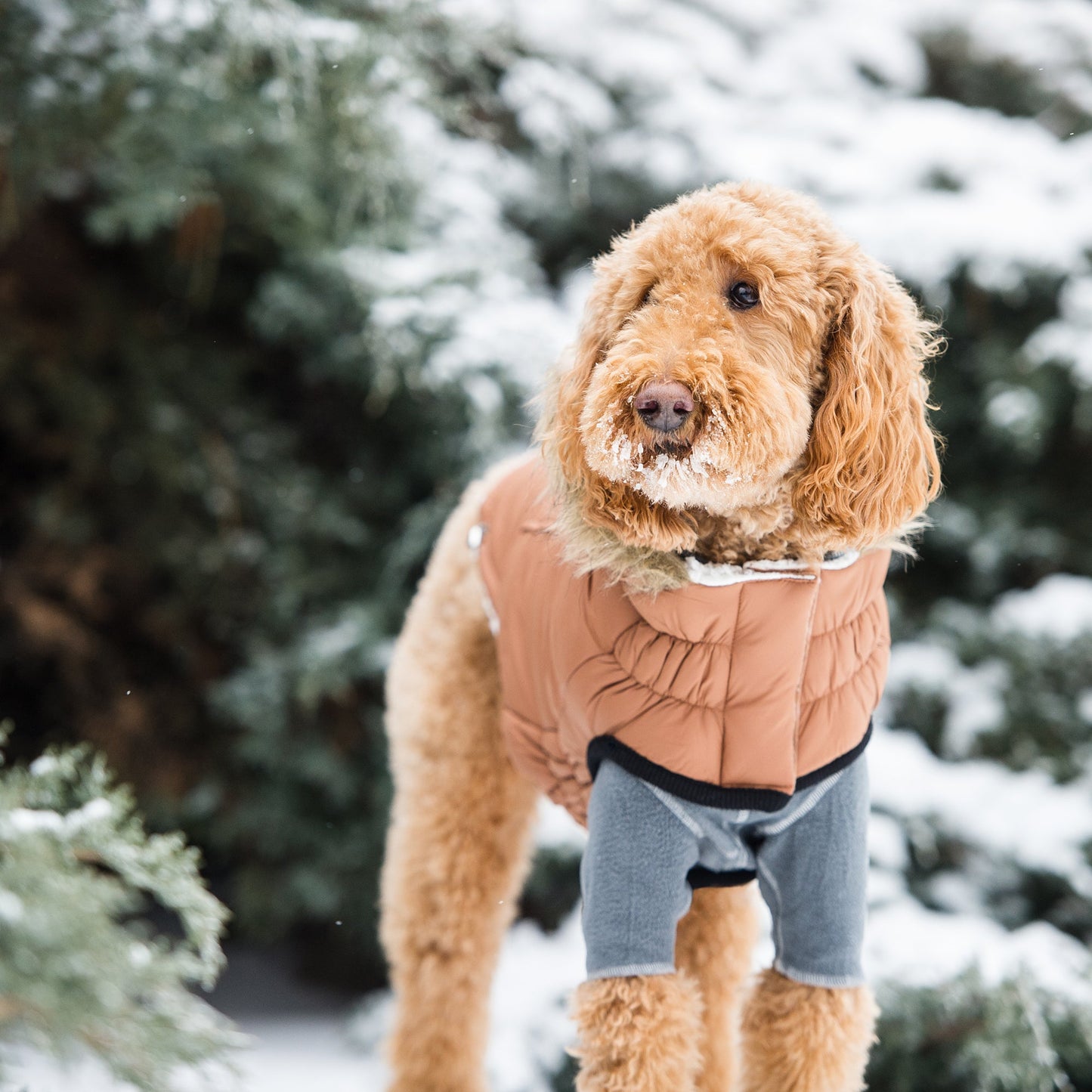 Elasto-Fit Urban Parka in Caramel