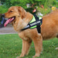 No-Pull Custom Dog Harness